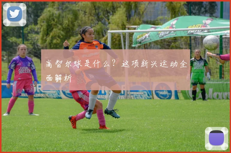 高智尔球是什么？这项新兴运动全面解析